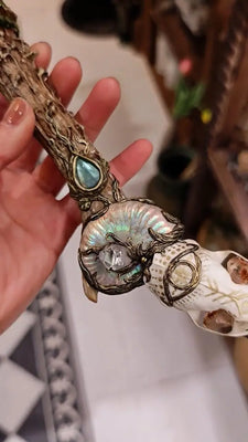 Spirit of the Wild Skull & Crystal Wand Buddha padmasana