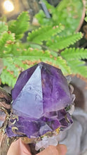 Load image into Gallery viewer, Resonance with All Amethyst Antler Spiritual Scepter Buddha padmasana