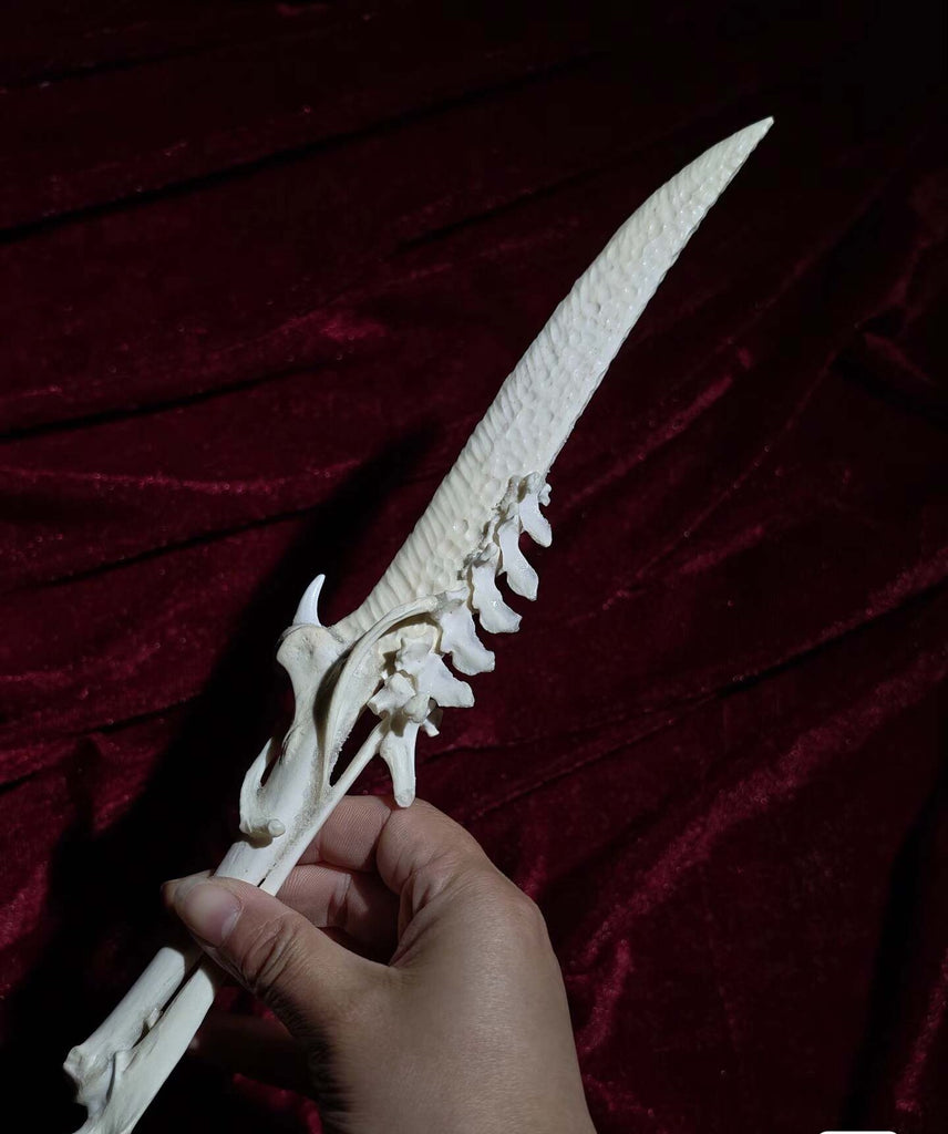 Handcrafted Bone Ritual Dagger, ethically sourced natural bone carving for witchcraft, Wicca, cosplay, gothic home decor, and occult collections. Custom orders available.