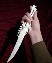 Load image into Gallery viewer, Handcrafted Bone Ritual Dagger, ethically sourced natural bone carving for witchcraft, Wicca, cosplay, gothic home decor, and occult collections. Custom orders available.